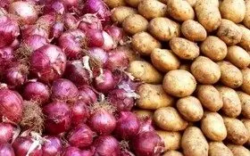 تثبیت قیمت سیب‌زمینی و پیاز در مزارع