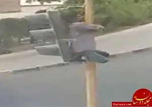 مخفی شدن عجیب یک پناهجو +عکس