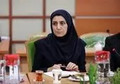 کنترل و کاهش آسیب های اجتماعی در دستور کار اقدامات بازآفرینی قرار دارد

