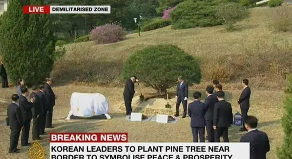 سران دو کره در حال کاشت درخت نزدیک مرز دو کشور+عکس