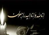 شورای پنجم وعده تغییر رویکرد در مدیریت شهری را محقق کرد
