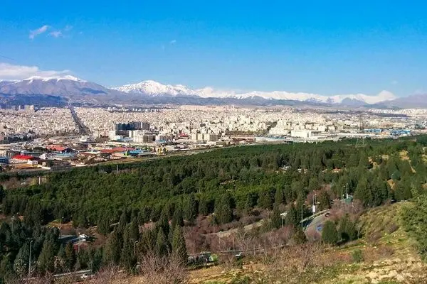 کاشت ۴۰۰ اصله نهال در بوستان جنگلی سرخهحصار