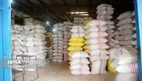 بدون تأمین ارز، بازار برنج بی‌ثبات می‌شود