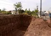 کاشت  بیش از 9 هزار  درختچه زینتی در منطقه 13 

