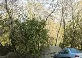 ایمن سازی و ساماندهی 61  نقطه بی‌دفاع شهری در ناحیه یک منطقه 15
