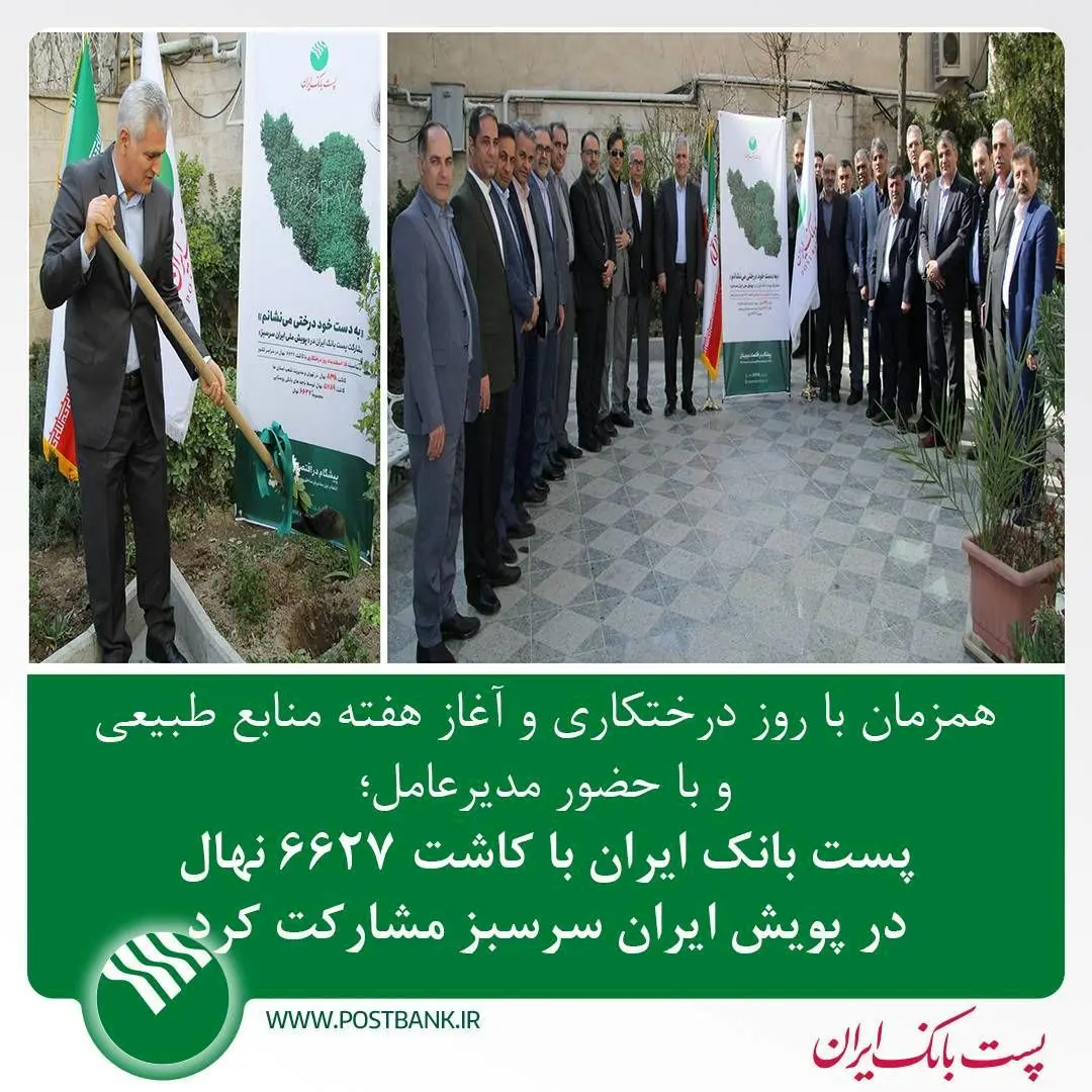 پست بانک ایران با کاشت ۶۶۲۷ نهال در پویش ایران سرسبز مشارکت کرد
