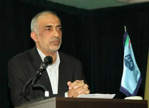 رئیس سازمان حسابرسی درباره گزارش حسابرسی ویژه "های وب"توضیح داد