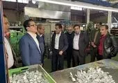 ارائه بسته مالی و معرفی خدماتی کارگزاری بانک صنعت و معدن به مشتریان استان گیلان