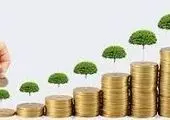 اجرای طرح بخشودگی جریمه تاخیر در بانک توسعه تعاون

