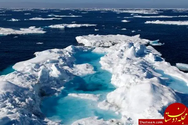 ترسناکترین لاک پشتهای دنیا +عکس