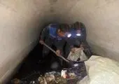 اصلاح میدان عدل در منطقه ۵