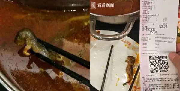 پیدا شدن موش در غذای یک رستوران لاکچری! + عکس