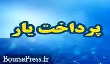 ۶ شرکت جدید پرداخت‌یار رسما" آغاز بکار کردند