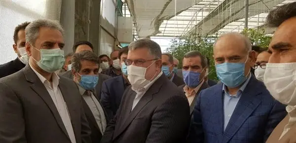بازدید مدیرعامل بانک کشاورزی درمعیت وزیر جهاد کشاورزی از گلخانه خانم زرگر 
