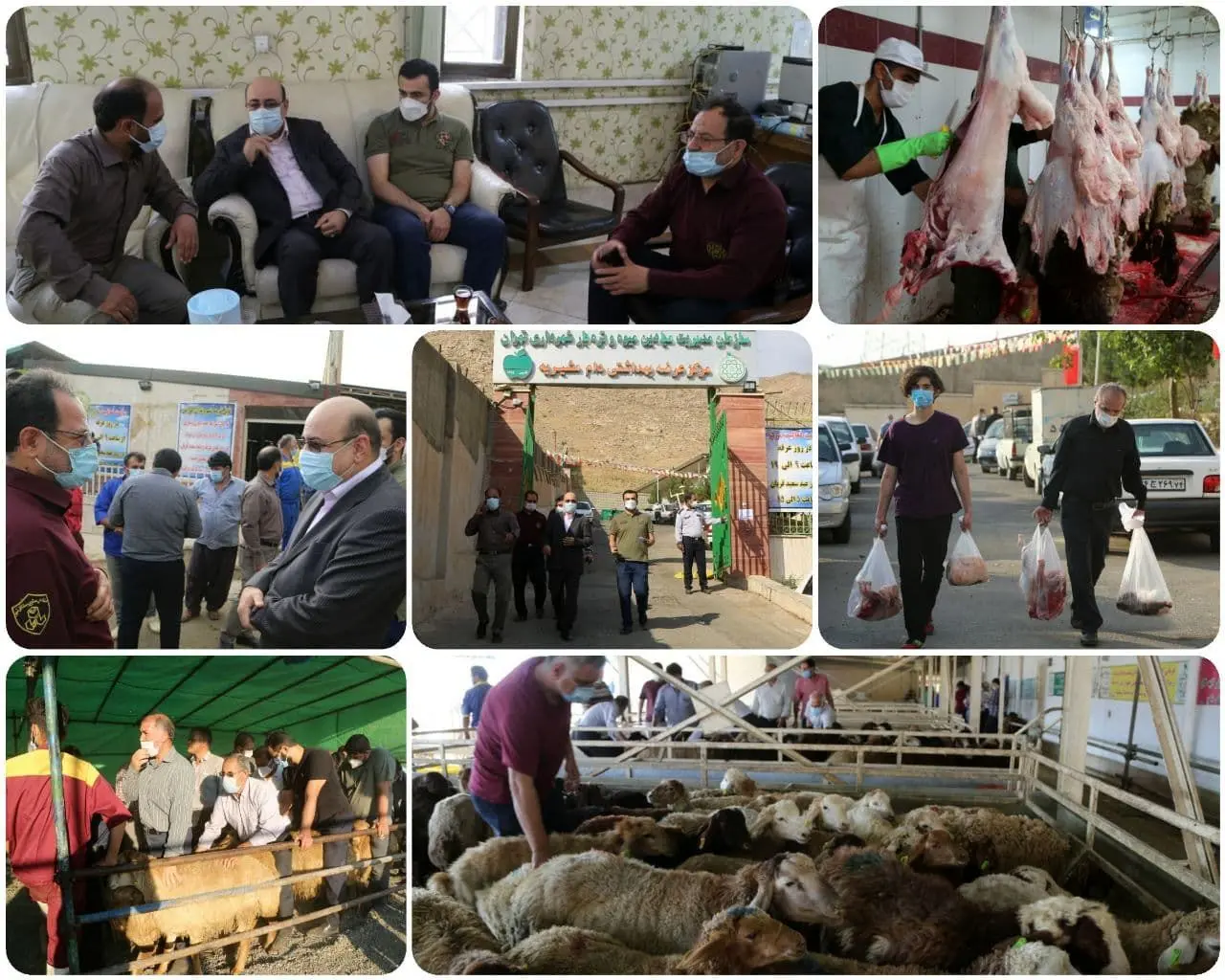 بازدید معاون خدمات شهری و محیط زیست از نحوه خدمات رسانی در مرکز عرضه دام خاوران 

