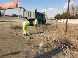 جمع آوری روزانه 25 تن شاخه و سرشاخه از بوستان ها و فضای سبز منطقه 19

