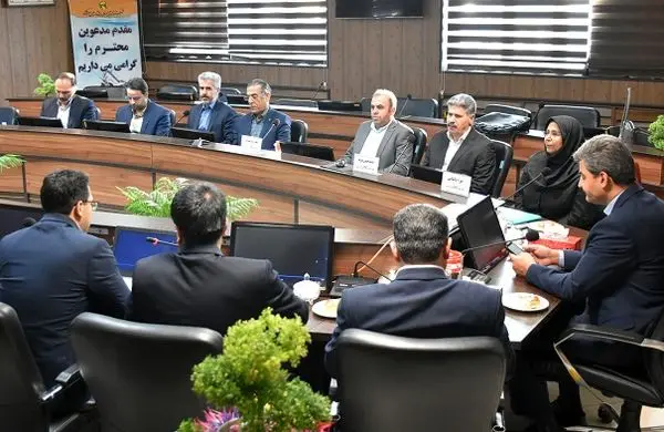 نظارت عالیه توزیع برق استان مرکزی توسط ارزیابان وزارت نیرو در حوزه HSE