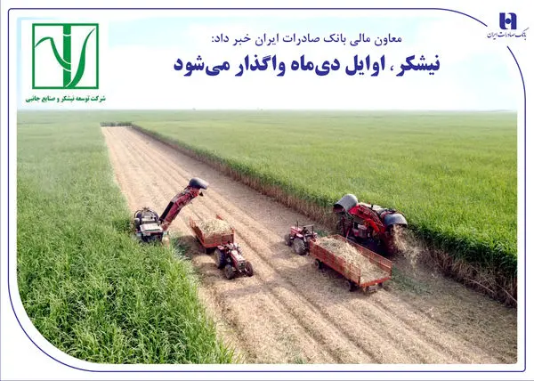 «نیشکر» اوایل دیماه واگذار میشود