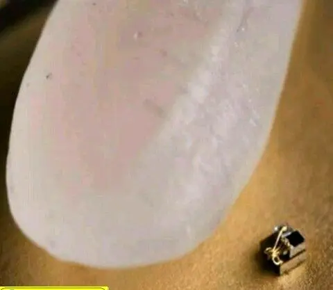 کوچکترین کامپیوتر دنیا در مقایسه با یک برنج!+عکس