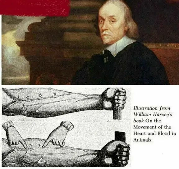 اولین دانشمندی که جریان خون را کشف کرد+عکس
