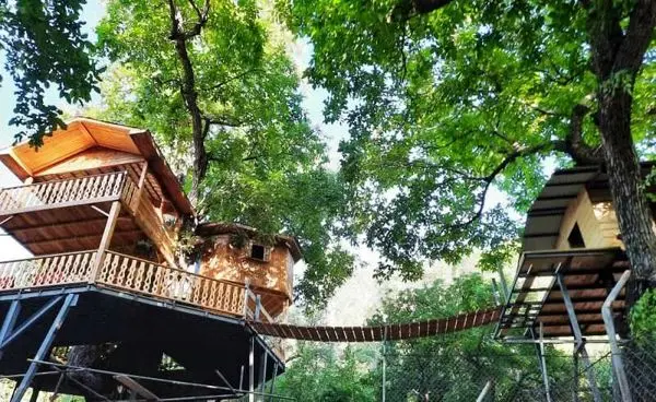 ۲۰میلیارد ریال برای ساخت اولین مجموعه خانه درختی در استان مرکزی سرمایه‌گذاری شد 

