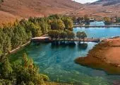 نسل جوان خاورمیانه