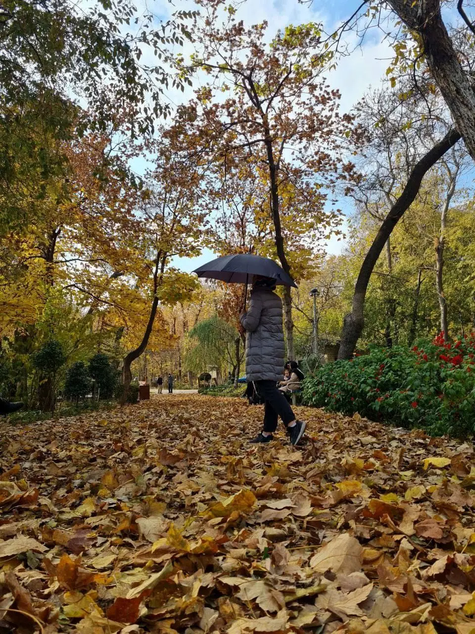 " گذر پاییز رنگارنگ" در  بوستان های شمیران اجرا شد

