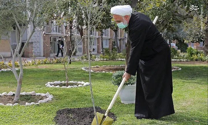 رئیس قوه قضائیه در اصفهان یک اصله نهال میوه غرس کرد 