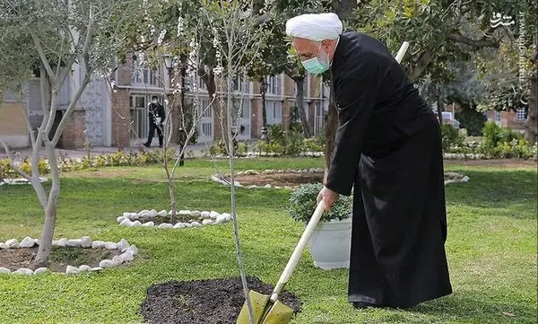رئیس قوه قضائیه در اصفهان یک اصله نهال میوه غرس کرد