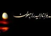 انتصاب حمیدرضا خوش‌اخلاق به عنوان مدیرعامل جدید شرکت «پیشگامان تجارت ایرانیان (PTI)» 