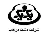خروج "خاذین" از زیان دهی/ شفاف سازی مدیر عامل