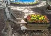 مراسم تقدیر ازبرگزیدگان جشنواره های بالکن زیبا و همراه طبیعت