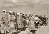 چرا باید به فکر ارسال گل به دانمارک برای عزیزانمان باشیم
