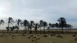 عظمت باورنکردنی شهر باستانی ۲۰۰۰ ساله+عکس