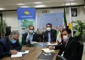 افزایش تجارت ایران با همسایگان 