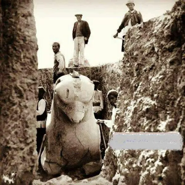 لحظه کشف و بیرون کشیدن شیردال هخامنشی از زیر خاک+عکس