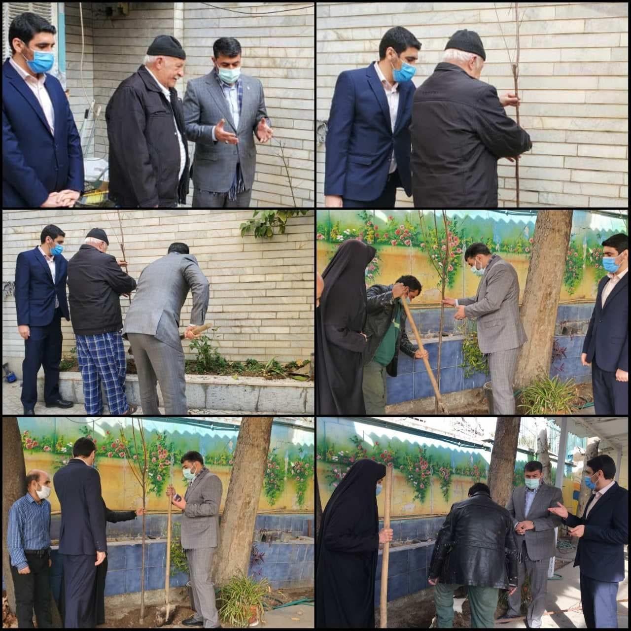 کاشت درخت در منازل شهدا/کاری برای زنده نگه داشتن یاد آنها

