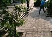 اصلاح نقاط حادثه خیز منطقه 19 با ارتقای ایمنی ترافیکی معابر شهری و بزرگراهی 

