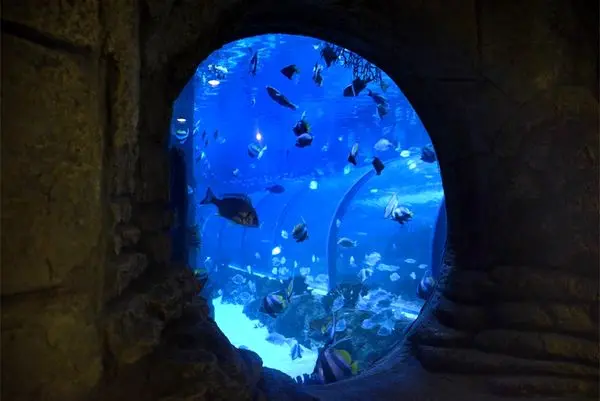 بزرگترین آکواریوم در ایران +عکس