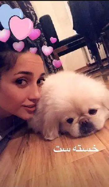 خانم بازیگر و حیوان خانگی بامزه و خسته اش+عکس

