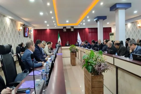 آینده صندوقهای بیمهای وابسته به کارامدی و ظرفیت حوزه اقتصادی این صندوقهاست