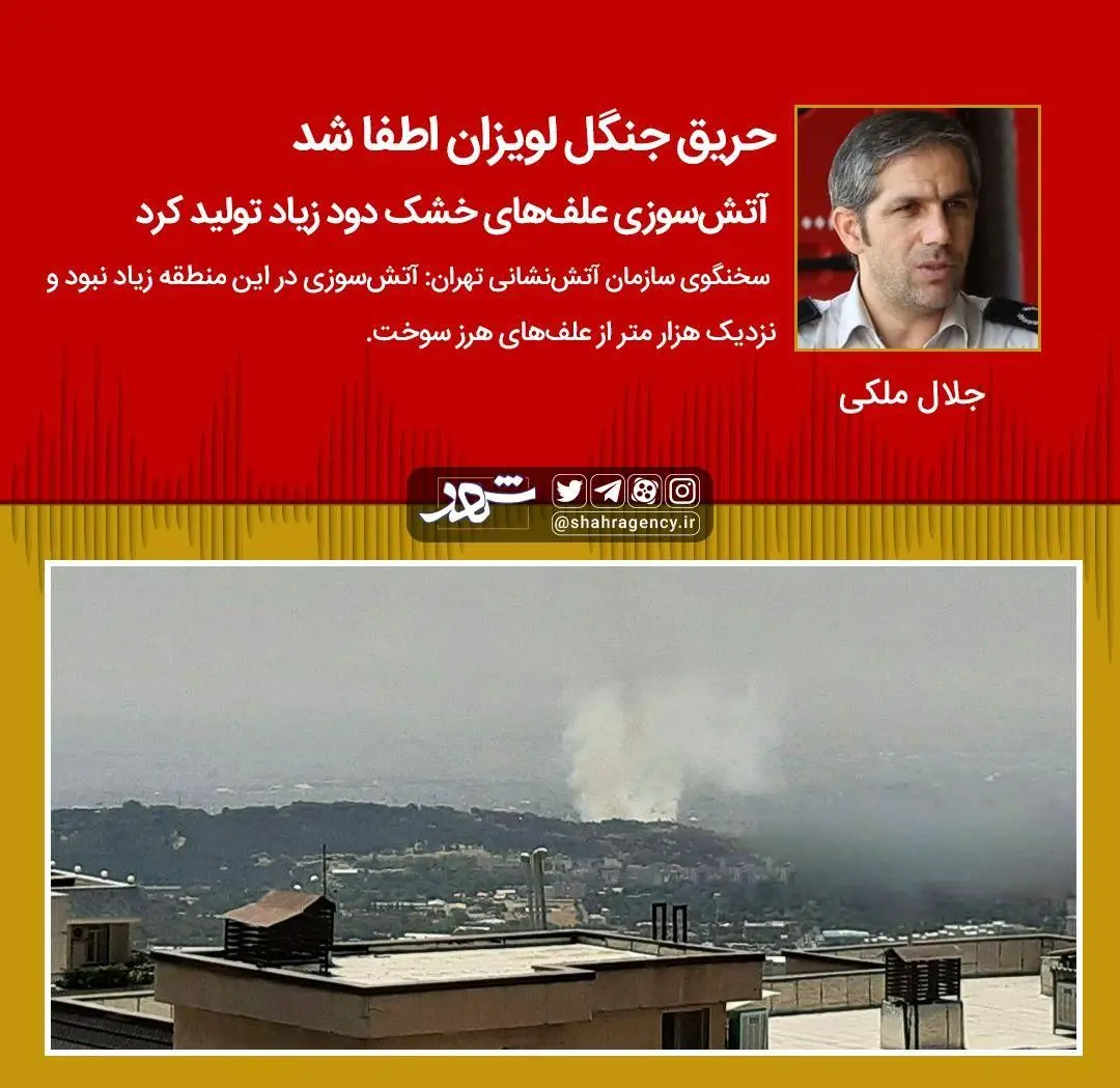 حریق جنگل لویزان اطفا شد