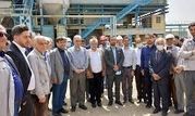 برندسازی صبانور از طریق ارتقاء کیفیت و راندمان تولید

