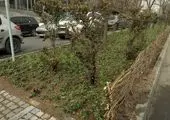 الزامات قانونی استخرهای روباز و نحوه نگهداری از آنها