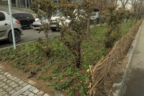 پیش بینی 107 پروژه خدمات شهری در طرح بهاران خدمت منطقه2