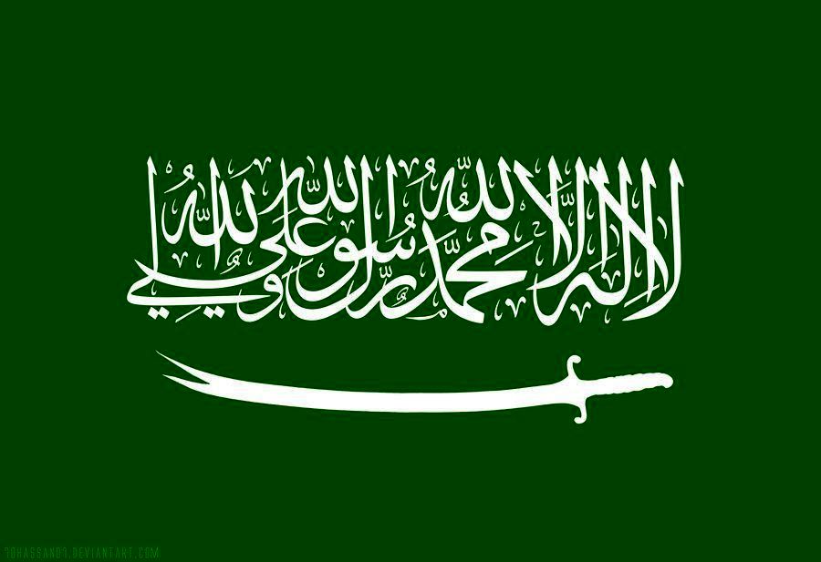 
پاسخ کوبنده به مقام سعودی +تصاویر

