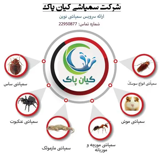 آیا سمپاشی سوسک را به طور مرتب انجام می دهید؟ 