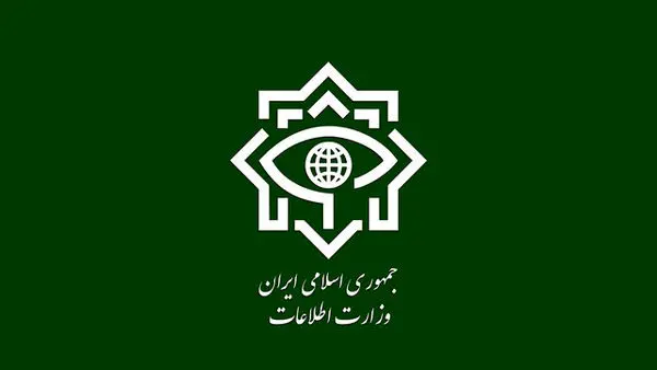 یک تبعهی سوئد به اتهام جاسوسی بازداشت شد