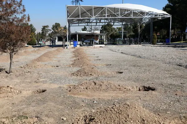 به نیت هر شهید یک درخت در بهشت حضرت زهرا(س) غرس میشود