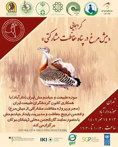 معرفی میش مرغ، پرنده رو به انقراض در موزه دارآباد 

